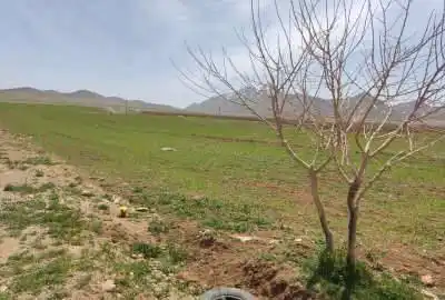 فروش زمین کشاورزی شهرکرد روستای شیخ شبان ۱۶۶۶۶ متر