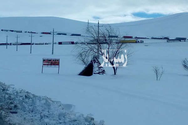 زمین هم برای باغ و هم برای جای انباریدذ خانه برق جدید ۲۰۰۰ متر-1