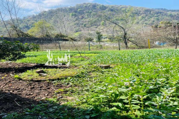 زمین مسکونی در فومن روستای ملسکام ۷۷۸ متر-4