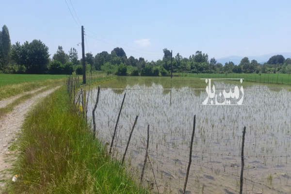 زمین کشاورزی بر جاده ۶۰۰ متر-1