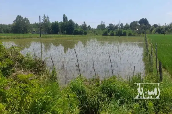 زمین کشاورزی بر جاده ۶۰۰ متر - تصویر 2