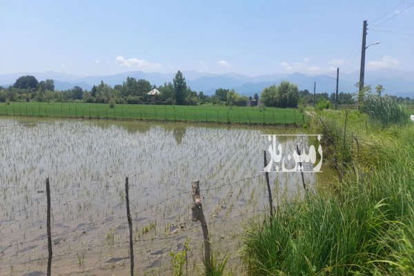 زمین کشاورزی بر جاده ۶۰۰ متر-4