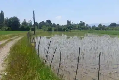 زمین کشاورزی بر جاده ۶۰۰ متر