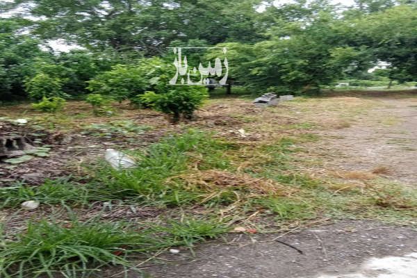 فروش زمین وخانه باغ درجاده نظامی روستای افرا ۳۲۵۰ متر-2