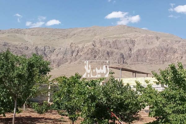 باغ میوه و بادام شهرستان چادگان روستای قرقر ۵۰۰۰ متر-1