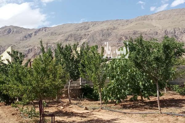 باغ میوه و بادام شهرستان چادگان روستای قرقر ۵۰۰۰ متر-2