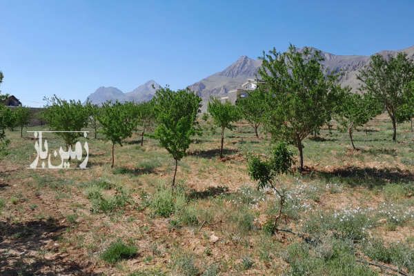 باغ میوه و بادام شهرستان چادگان روستای قرقر ۵۰۰۰ متر-3