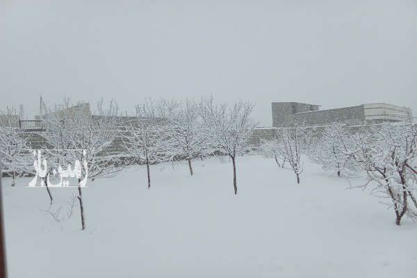 باغ میوه و بادام شهرستان چادگان روستای قرقر ۵۰۰۰ متر-4
