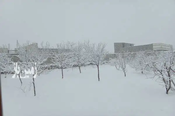 باغ میوه و بادام شهرستان چادگان روستای قرقر ۵۰۰۰ متر - تصویر 4