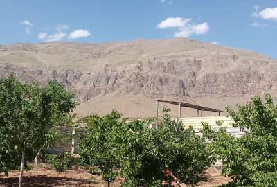 باغ میوه و بادام شهرستان چادگان روستای قرقر ۵۰۰۰ متر