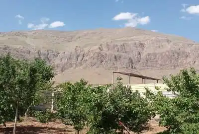 باغ میوه و بادام شهرستان چادگان روستای قرقر ۵۰۰۰ متر