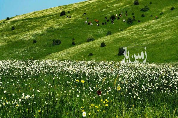 فروش زمین جهت ساخت ویلا و باغ در منطقه فندقلو ۱۰۵۰ متر-1