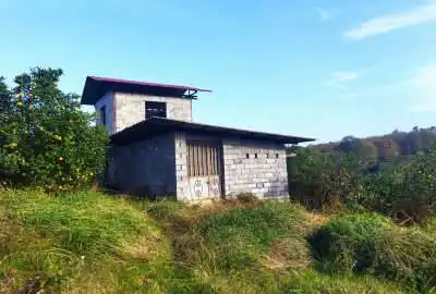 باغ پرتقال سنددار نشتارود روستای دینارسرا ۴۱۵۰ متر