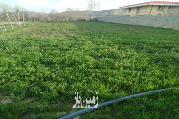 یک قطعه زمین به متراژ ۷۵۰ شهر یاسوج روستای دشتروم-2