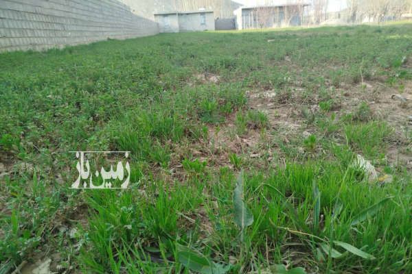 یک قطعه زمین به متراژ ۷۵۰ شهر یاسوج روستای دشتروم-3
