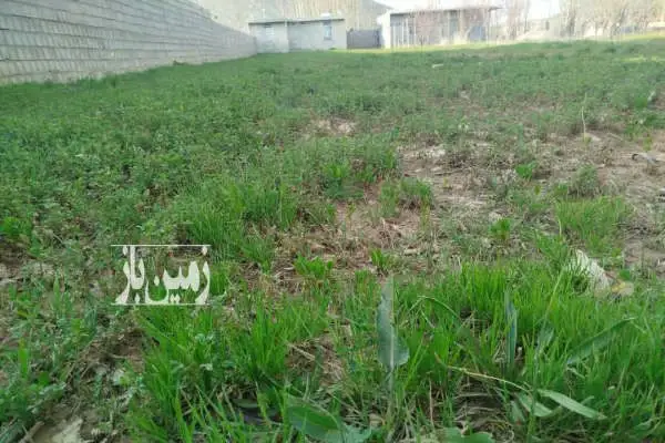 یک قطعه زمین به متراژ ۷۵۰ شهر یاسوج روستای دشتروم - تصویر 3