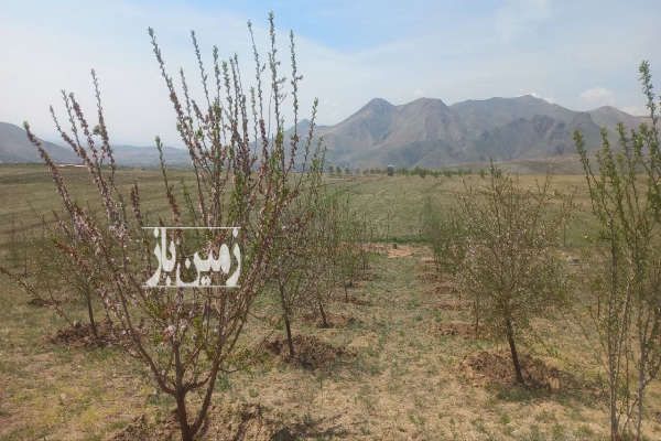 فروش باغ در رزجرد شهرک توریستی قائم ۳۰۰۰ متر-3