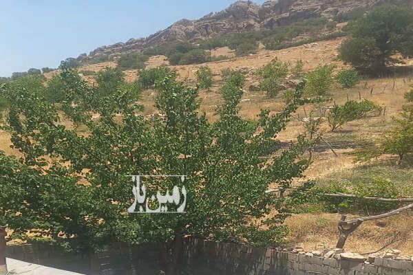 فروش باغ و زمین و خانه در روستای میانتنگان ۳۷۰۰ متر-1