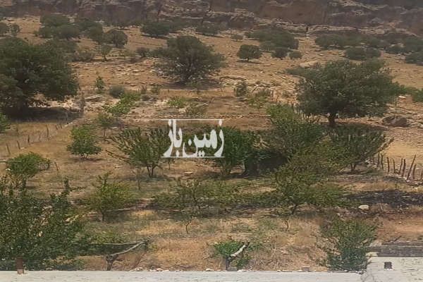 فروش باغ و زمین و خانه در روستای میانتنگان ۳۷۰۰ متر-3