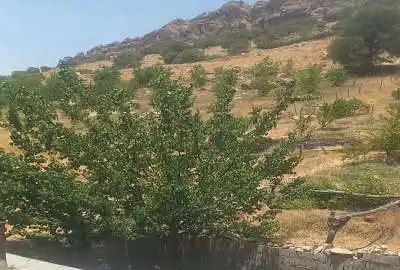 فروش باغ و زمین و خانه در روستای میانتنگان ۳۷۰۰ متر