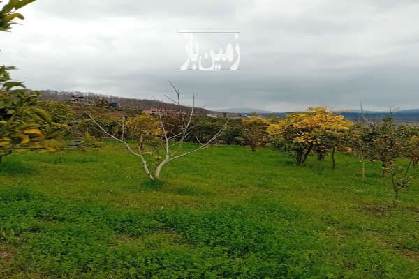 زمین در شهر شیرگاه ۲۵۰ متر با تخفیف-2