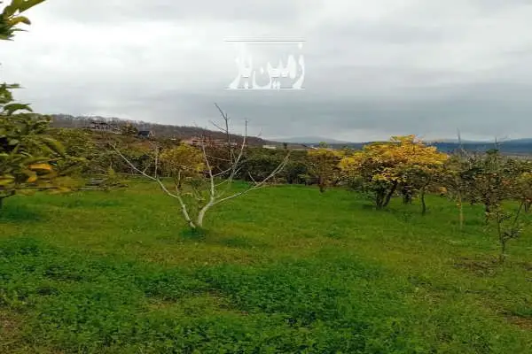 زمین در شهر شیرگاه ۲۵۰ متر با تخفیف - تصویر 2