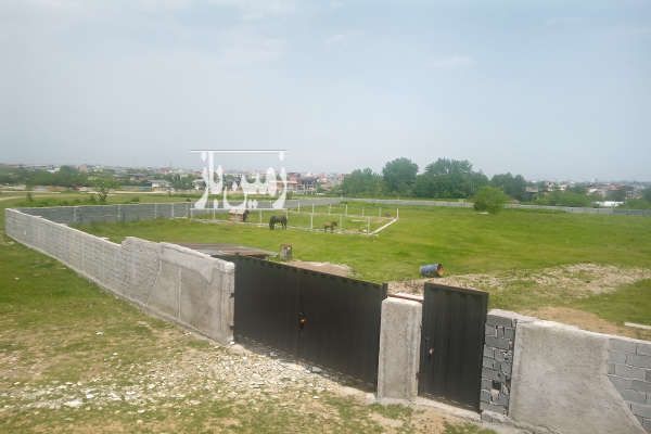 زمین در نوشهر نیرنگ روستای خیر سر ۹۰۰ متر-2