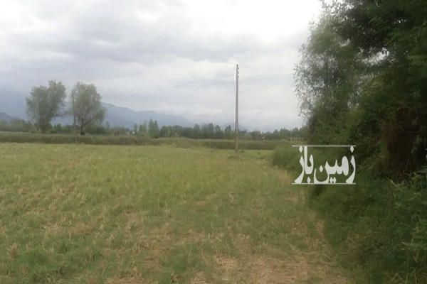 زمين شاليزار برنج كاري فومن جاده قلعه رودخان ۷۲۲۰ متر-1
