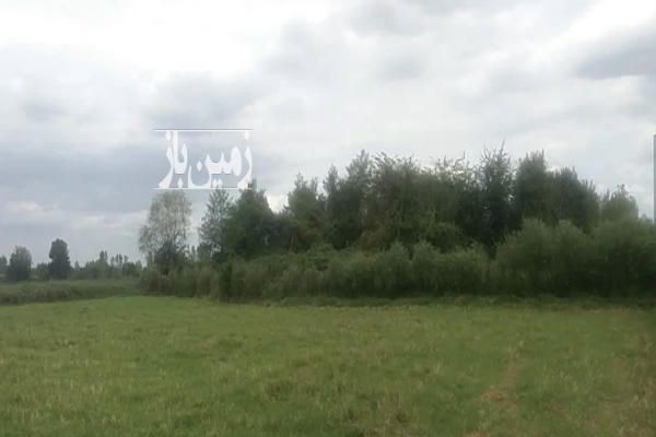 زمين شاليزار برنج كاري فومن جاده قلعه رودخان ۷۲۲۰ متر-2
