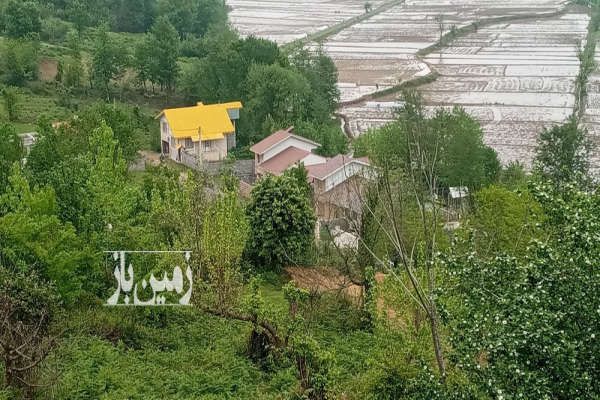 زمین مسکونی در مهربن سیاهکل ۲۵۰ متر-3