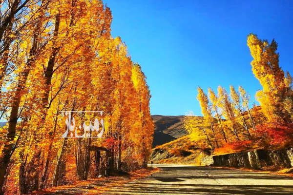 باغ فروشی ابرشیوه سمت دریاچه تار ۶۰۰ متر بین روستای مومج و دهنار-2