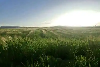 فروش زمین کشاورزی در شهر علویجه ۵ هکتار