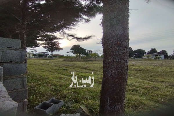 زمین شهرکی در وازیوار نوشهر ۲۵۰ متر-1