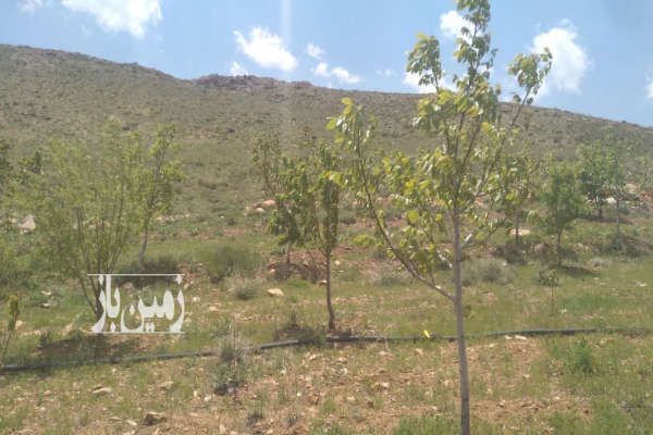 فروش زمین و باغ با اب چشمه لوله کشی در فریدونشهر ۴۰۰۰ متر-1