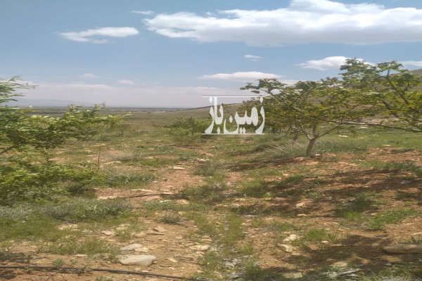 فروش زمین و باغ با اب چشمه لوله کشی در فریدونشهر ۴۰۰۰ متر-2