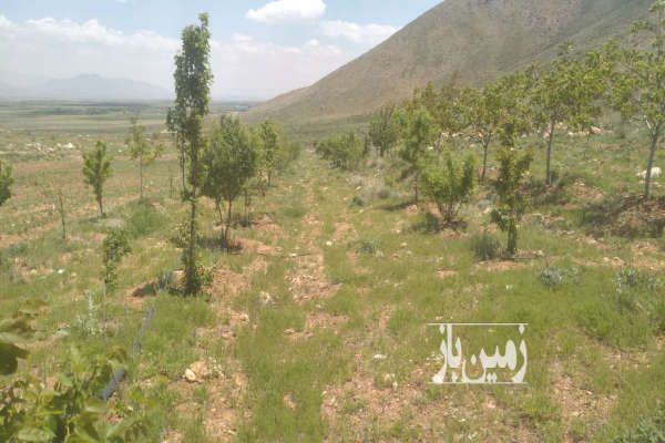 فروش زمین و باغ با اب چشمه لوله کشی در فریدونشهر ۴۰۰۰ متر-3