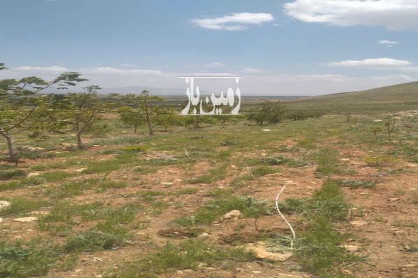 فروش زمین و باغ با اب چشمه لوله کشی در فریدونشهر ۴۰۰۰ متر-4