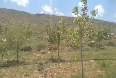 فروش زمین و باغ با اب چشمه لوله کشی در فریدونشهر ۴۰۰۰ متر