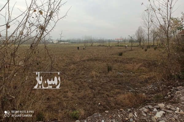 زمین زراعی برخط اصلی رشت پیربازار ۲۱۰۰ متر-1