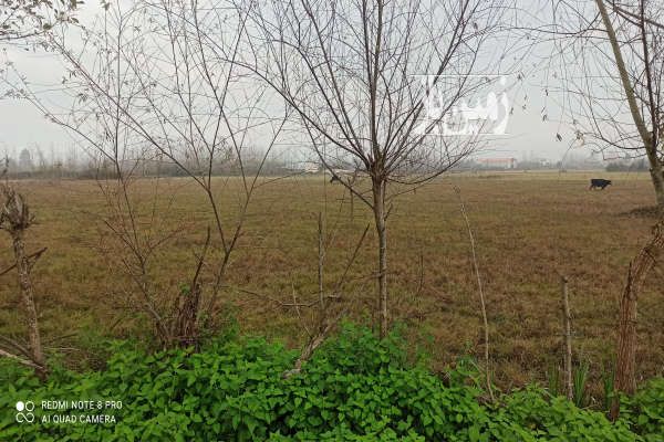 زمین زراعی برخط اصلی رشت پیربازار ۲۱۰۰ متر-3