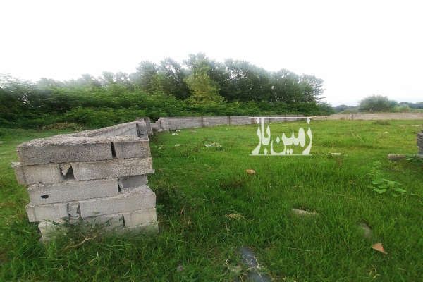 زمین در کاردگرکلا روستای کلین خونی ۳۹۲ متر رو به جنگل-3