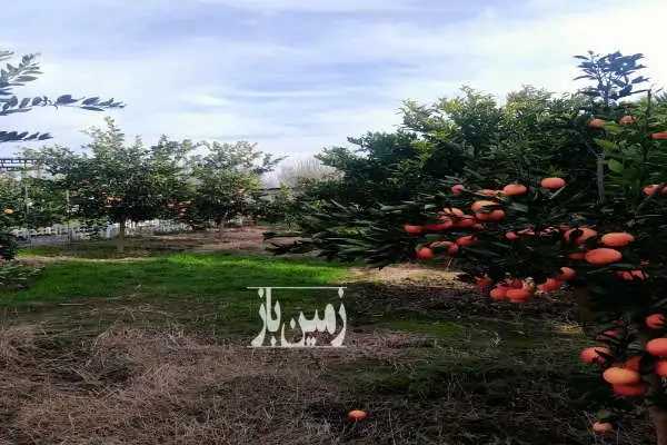 فروش باغ با تمام امکانات امل روستای هشتل ۴۶۵۰ متر - تصویر 2