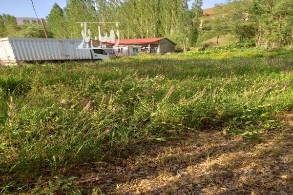 زمین ۶۰۰متر جاده چالوس کیلومتر ۶۵ روستای ازادبر-1