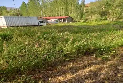 زمین ۶۰۰متر جاده چالوس کیلومتر ۶۵ روستای ازادبر