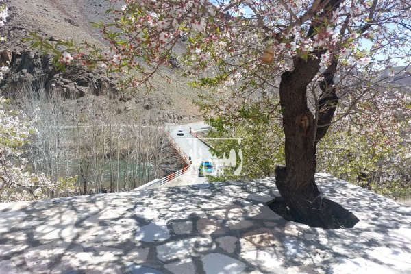 فروش زمین یک هکتار در منطقه توریستی-4