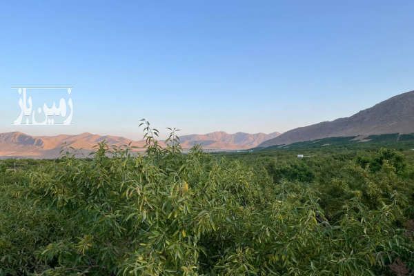 باغ ۲هزار متری در یک مجموعه شهرکی منظم-1