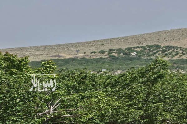 باغ ۲هزار متری در یک مجموعه شهرکی منظم-3
