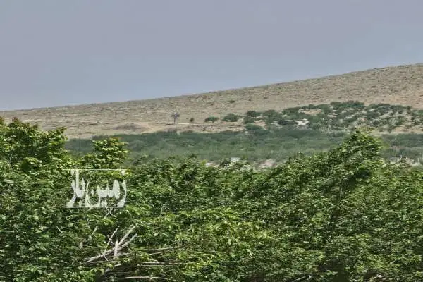 باغ ۲هزار متری در یک مجموعه شهرکی منظم - تصویر 3