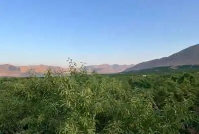 باغ ۲هزار متری در یک مجموعه شهرکی منظم