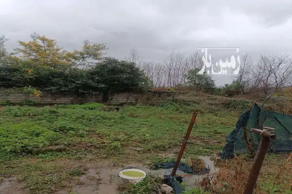 زمین ۵۵۰ متر روستای کارکو داخل بافت زردمسکونی و یک سوییت - تصویر 2